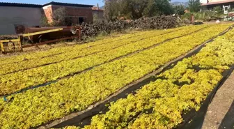 Üzümde fiyat belirsizliği hem üreticiyi hem de çalışanları tedirgin ediyor