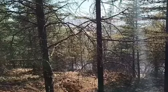 Ankara'nın Bala İlçesinde Ormana Sıçrayan Yangın Kontrol Altına Alındı