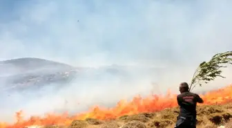 Van'da Dik Arazide Yangın Çıktı, İtfaiye ve Sakinler Söndürdü