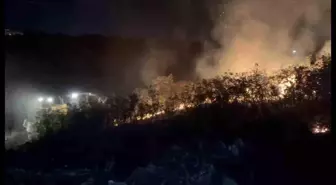 Balıkesir'de Çöp Depolama Alanında Yangın