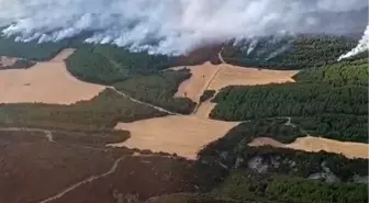 Çanakkale Gelibolu'da Orman Yangınına Yoğun Müdahale