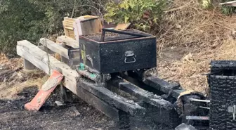 Çanakkale Gelibolu'da Orman Yangını: Arı Kovanları Yanıyor