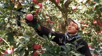 Çin'in Xinjiang Bölgesi ile Dubai Arasında Direkt Hava Kargo Rotası Başladı
