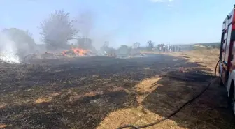 Balıkesir'de Zeytinlik Alanda Yangın Çıktı