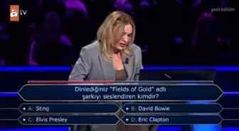 ''Fields of Gold'' adlı şarkıyı seslendiren kimdir?