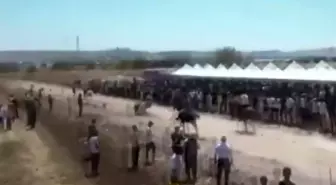 Gaziantep'te At Yarışları Festivali Sırasında Eski AK Parti İlçe Başkanı Ağır Yaralandı