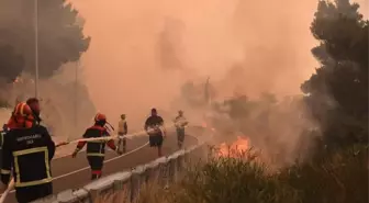 İspanya'daki Orman Yangınlarında 7 Kişi Hayatını Kaybetti