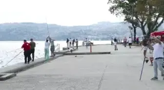 İstanbul'da Poyraz, Plajları Ve Sahilleri Canlandırdı
