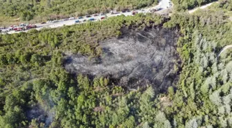 İzmit'te Kent Ormanı'nda Yangın Çıktı, İtfaiye Müdahale Etti