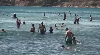 Silivri'de Denize Girme Yasağına Rağmen Plaj Dolu
