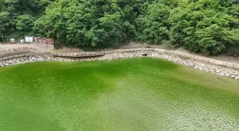 Sera Gölü'nde 30 Kamyon Çöp Temizlendi