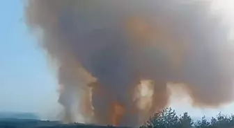 Adana'da Orman Yangını Kontrol Altına Alındı