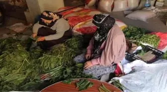 Bayburtlu Kadınlar Kışlık Turşu Hazırlıklarına Başladı
