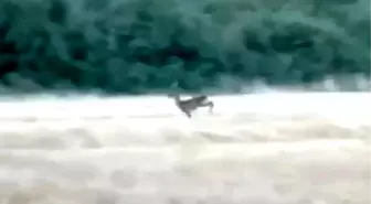 Çanakkale'de Orman Yangını Kontrol Altına Alındı