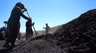 Mardin'den Ankara'ya Mangal Kömürü İçin Göç Eden Mevsimlik İşçiler