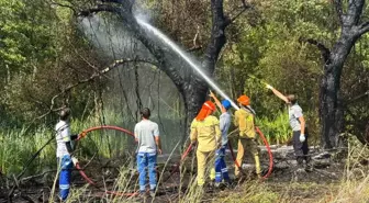 Fethiye'de Orman Yangını Kontrol Altına Alındı