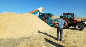Muş'ta Saman Fiyatları Yükseldi, Çiftçiler Yüzde Gülüyor