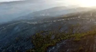 Gelibolu'da büyük ölçüde kontrol altına alınan orman yangınında yanan yerler dronla görüntülendi