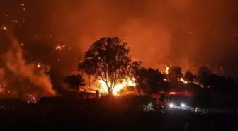 İki gündür yangınla boğuşan Çanakkale'den sevindiren haber