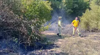 Kırklareli'nde Orman Yangını Kontrol Altına Alındı