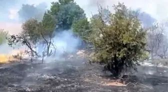 Malatya'da Orman Yangını: İtfaiye Ekipleri Seferber Edildi