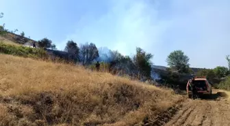 Malatya'nın Doğanyol ilçesinde orman yangını kontrol altına alındı