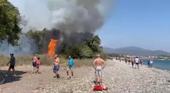 Fethiye'de Orman Yangını: Havadan ve Karadan Müdahale Başlatıldı