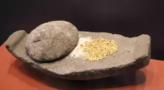 Hitit Şehri Nerik Kazıları ve Nadir Buluntular