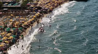 Çınarcık'ta Yaz Sezonu Yoğun Geçiyor, Doluluk Oranı Yüzde 95
