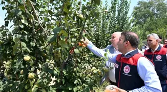Denizli'de Üreticilere Akdeniz Meyve Sineği Zararlısına Karşı Tuzak Dağıtımı