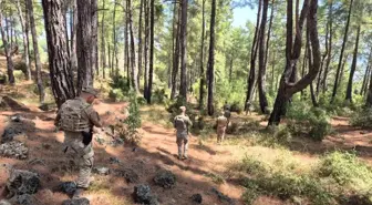 Burdur'da Orman Yangınlarını Önleme Çalışmaları Sürüyor