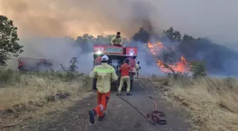 Bursa'da Orman Yangını: Ekipler Müdahaleye Devam Ediyor