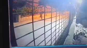 Taksici Sefer Kaya, Silahlı Saldırı Sonucu Hayatını Kaybetti