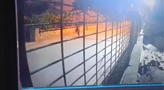 Eyüpsultan'da taksiciyi öldüren şüpheli tutuklandı