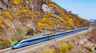 Güney Kore'de Tren Kazasında 2 İşçi Hayatını Kaybetti