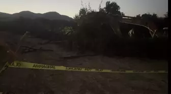 Kanal çalışması sırasında devrilen ağacın altında kalan yaşlı adam hayatını kaybetti