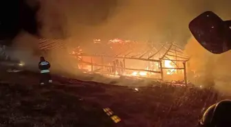 Muş'ta Ahır Yangını Paniğe Neden Oldu