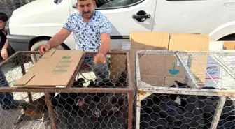 Tilki İle İşçi Arasındaki Eğlenceli Diyalog