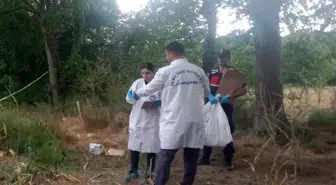 Düzce'de Mısır Tarlasında Kafatası ve Kemikler Bulundu