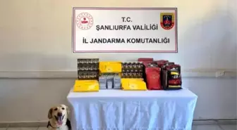 Şanlıurfa'da Uyuşturucu Operasyonu: 6 Gözaltı