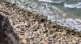 Şile'de Roket Başlığı Olabileceği Değerlendirilen Cisim Bulundu
