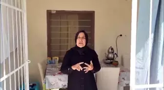 Adana'da Veteriner ile Avukat Arasında Sokak Köpekleri Üzerinden Tartışma