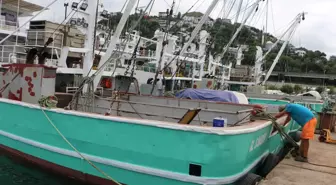 Samsun'da Balık Avı Sezonu Heyecanı: 'Bolca Hamsi Bekliyoruz'