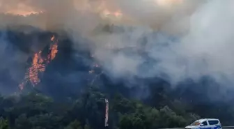 Bolu Mengen'de Orman Yangını