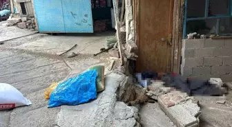 Traktör Faciasında 73 Yaşındaki Kadın Hayatını Kaybetti
