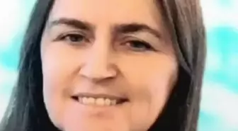 Fındık Toplarken Arı Sokması Nedeniyle Hayatını Kaybetti