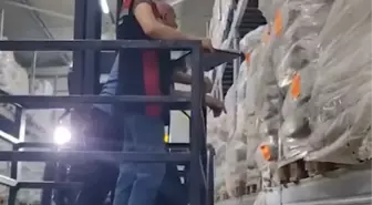 İzmir'de Süt Ürünleri Denetimi: Bin Ton Ürün İhtiyati Tedbirle Muhafaza Altına Alındı