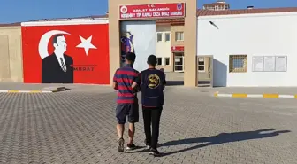 Kırşehir'de Firari Hükümlü Jandarma Tarafından Yakalandı