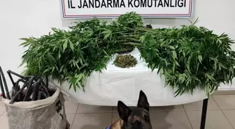 Konya'da Uyuşturucu Operasyonu: 4 Gözaltı ve Çok Sayıda Suç Unsuru Ele Geçirildi
