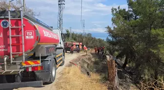 Mudanya'da Orman Yangını Kontrol Altına Alındı